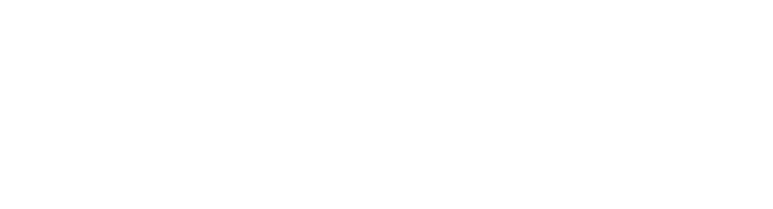 NV5 Logo
